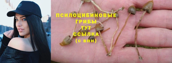 а пвп мука Костерёво