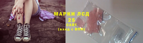 прущий лед Краснослободск
