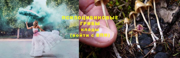 прущий лед Краснослободск